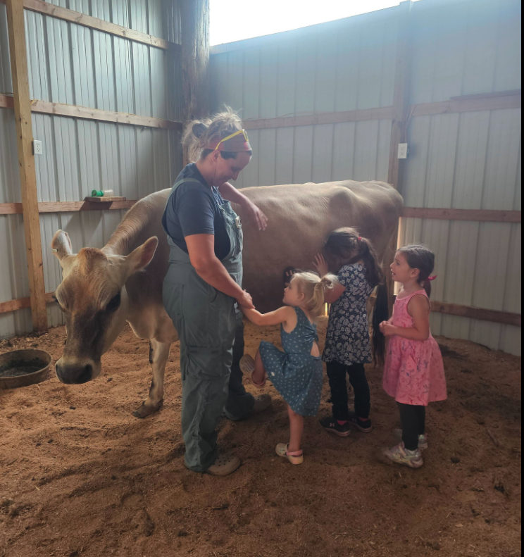 A farmer introducing a Jersey cow to a group of visitors at the Milk & Marrow farm